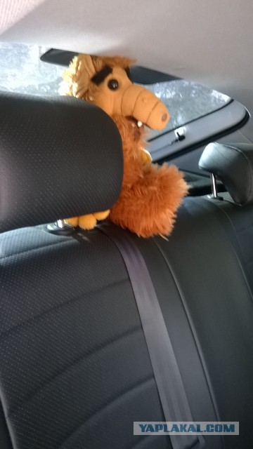 "Альф". 30 лет спустя