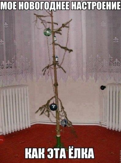 Картинки  из сети