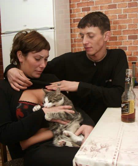 Коты, кошки, котята