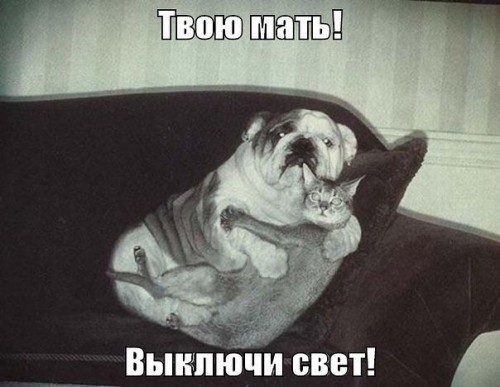 Веселые картинки