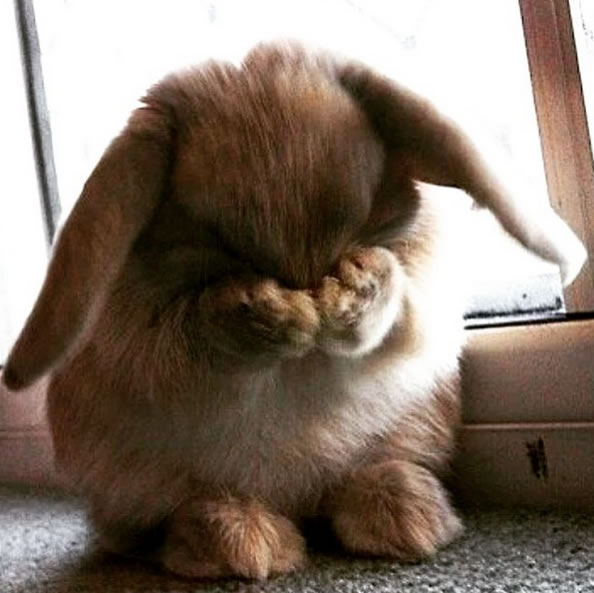 Техника приманивания Альфа-Центаврианского самца