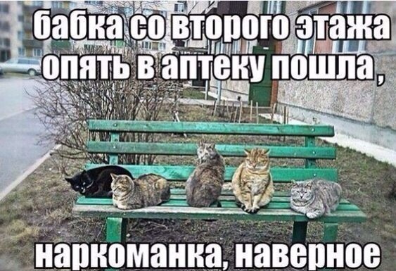 Забавные картинки из Сети