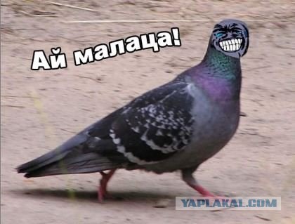 Ария - Беспечный ангел. попытка сыграть на арфе. Мой первый ком (блином назвать сложно)