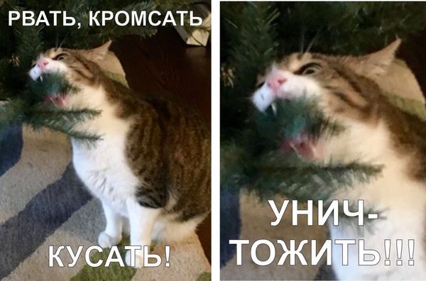 Всячина. Картинки и тексты картинками.