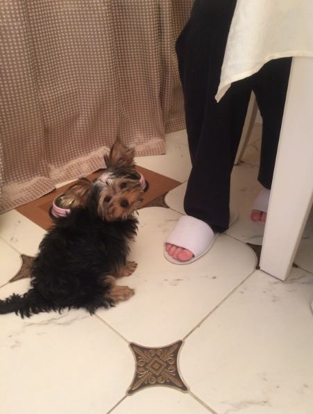 Аццкая кухня 3  (Кулинарный адъ)