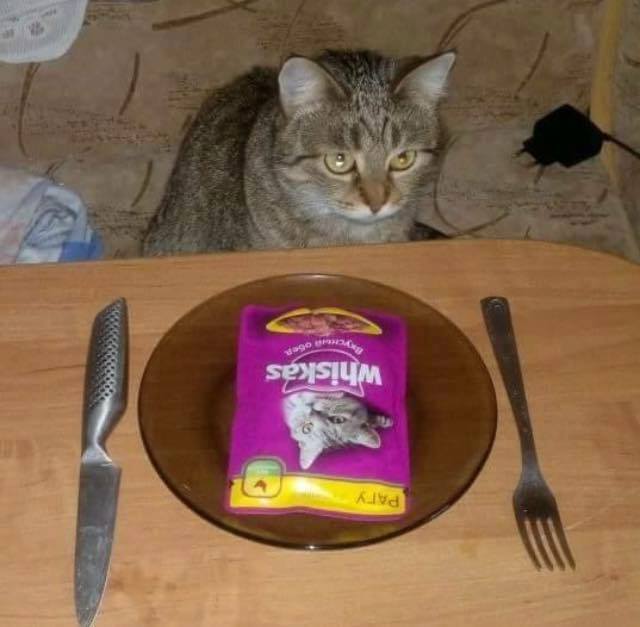 Немного картинок в обед
