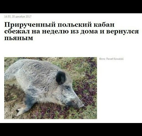 Человек эпохи разложения