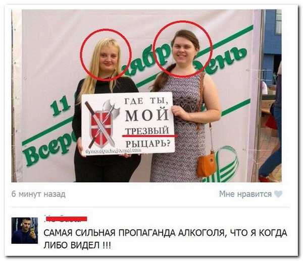 Картинки с надписями, истории и анекдоты