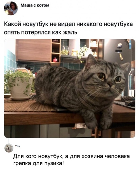 Юмор и прикольные картинки 04.12.2020