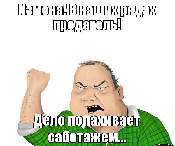 Парень нашёл брошенного котёнка во время путешествия. И вот уже два года они вместе колесят по разным странам