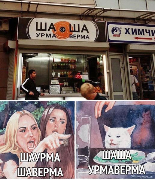 Кота не переубедить