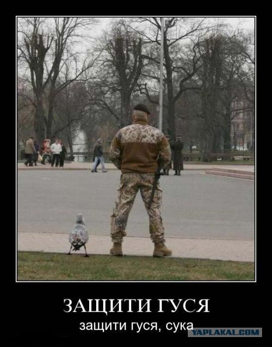 Злобный гусь