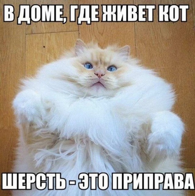 Картинки и мемы для настроения 18.08.2021