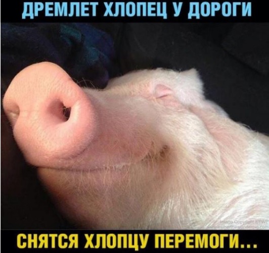 Ловили по стелькам
