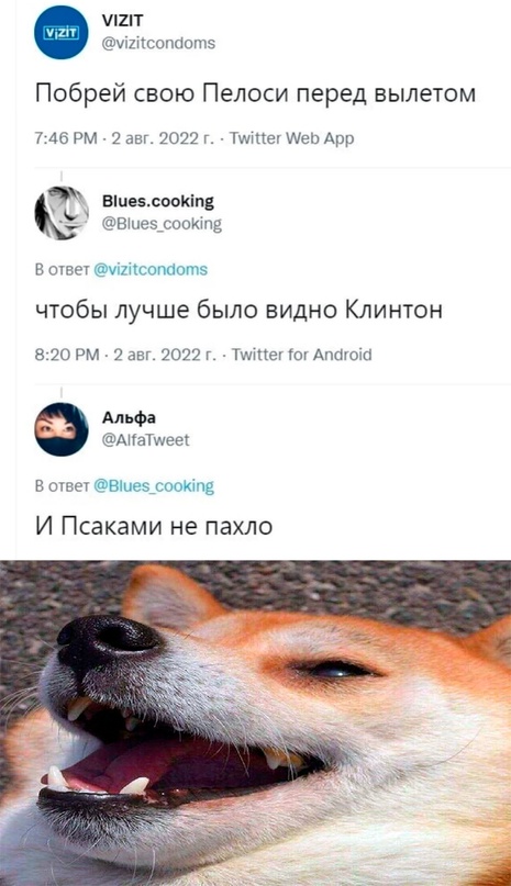 Весёлый полтишок 5.08.22