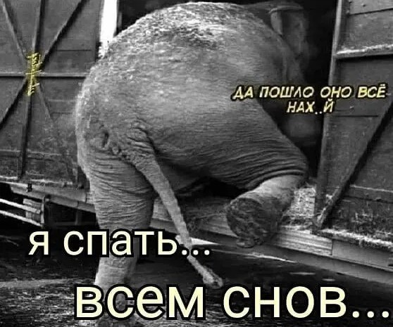 Юмор в картинках и без