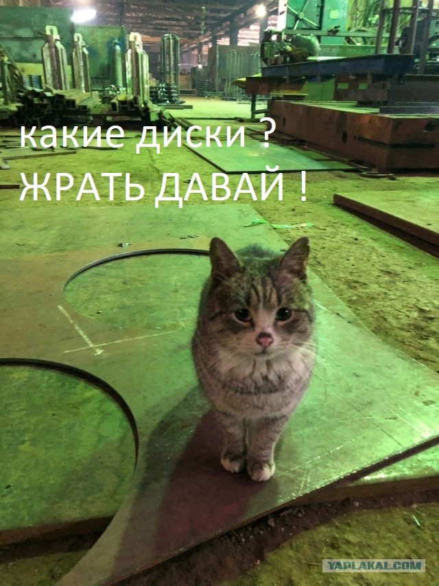 - А помнишь, как мы оси точили, а потом пазы фрезеровали?