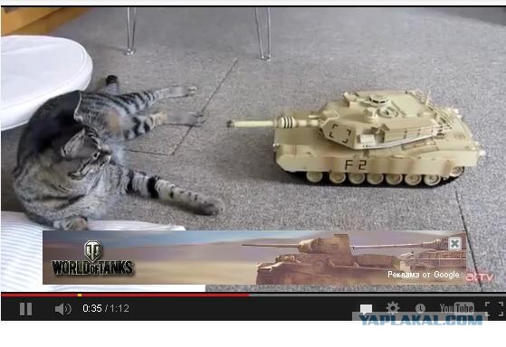 ТАНК против КОТОВ