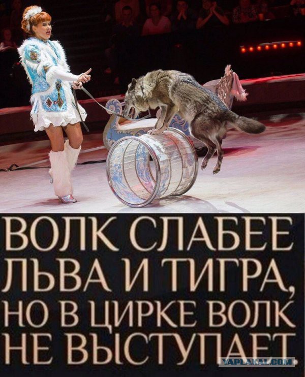 Театр в формате 11D?!