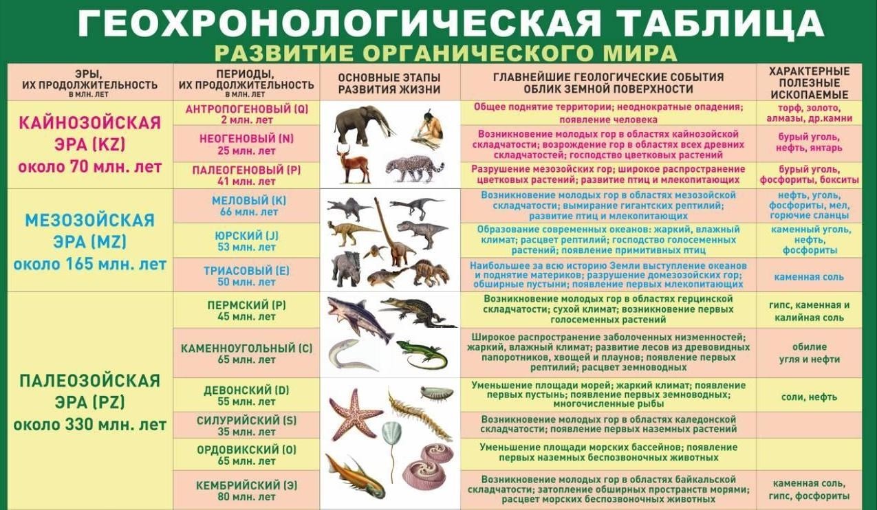Геохронологическая таблица 8 класс кратко Популярные заблуждения о первобытном человеке - ЯПлакалъ