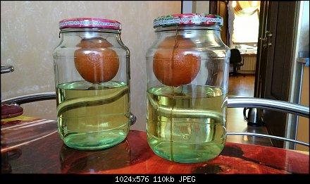 Висельник на самогоне с лимоном. Опыт с апельсином. Фрукты в баночках. Самогон настоянный на апельсине с зернами кофе. Висельник настойка на лимоне.