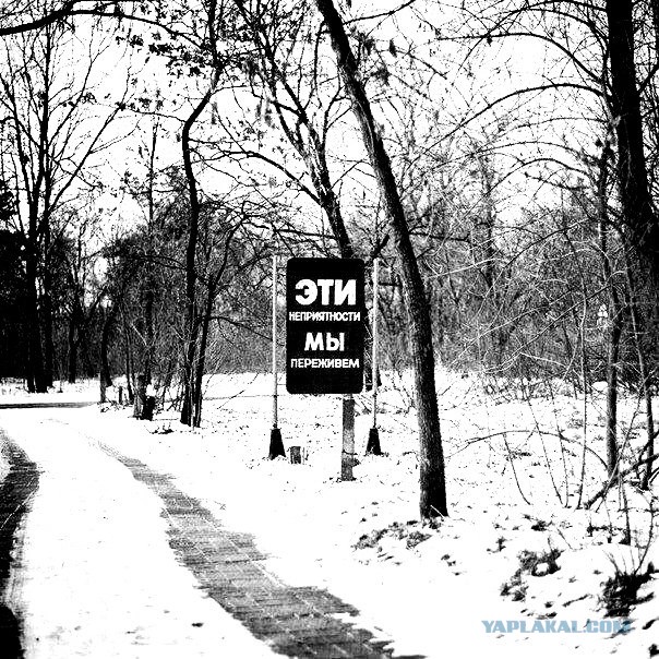 Нуштош 13.12.2024