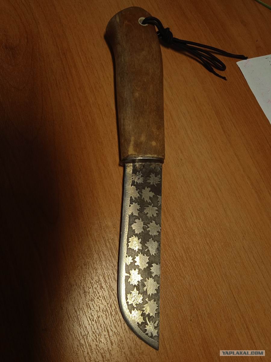 Кошачий нож