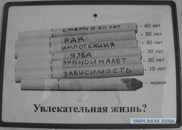 Лютая социалка