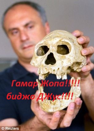 Найден древний череп