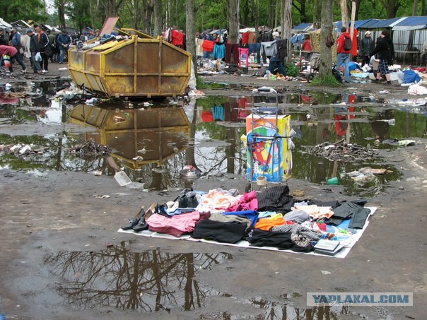 Удельный рынок в Санкт- Петербурге