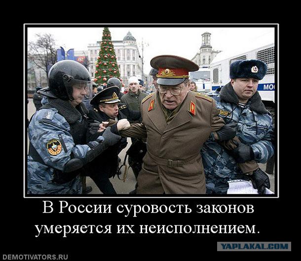 Демотиваторы и просто веселые картинки