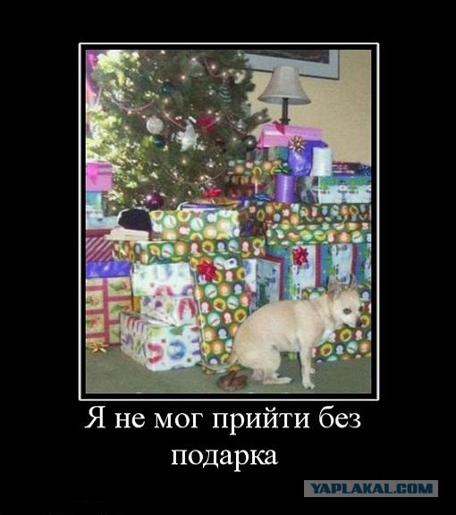 Новые "комментарии из соцсетей"