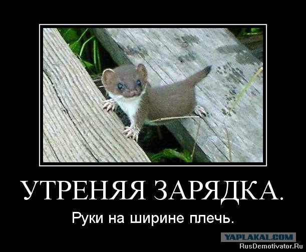 Картинки Про Зарядку Прикольные