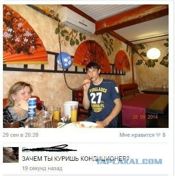 Смешные комментарии 18+ (15 фото)