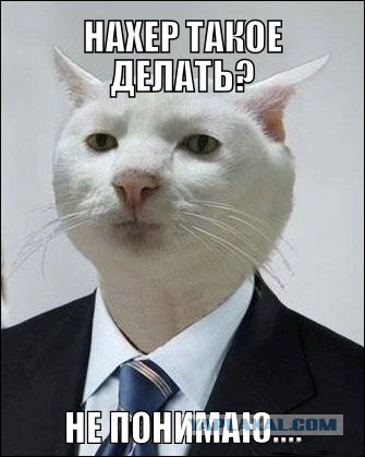 Почему с возрастом время летит быстрее?