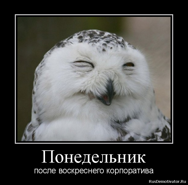 Картинки из сети.