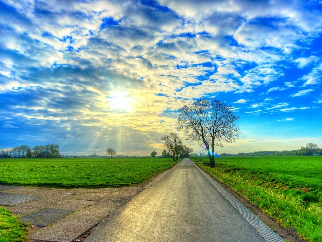 Подборка картинок 24.02.16