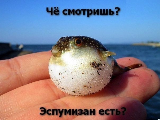 Подборка прикольных фото