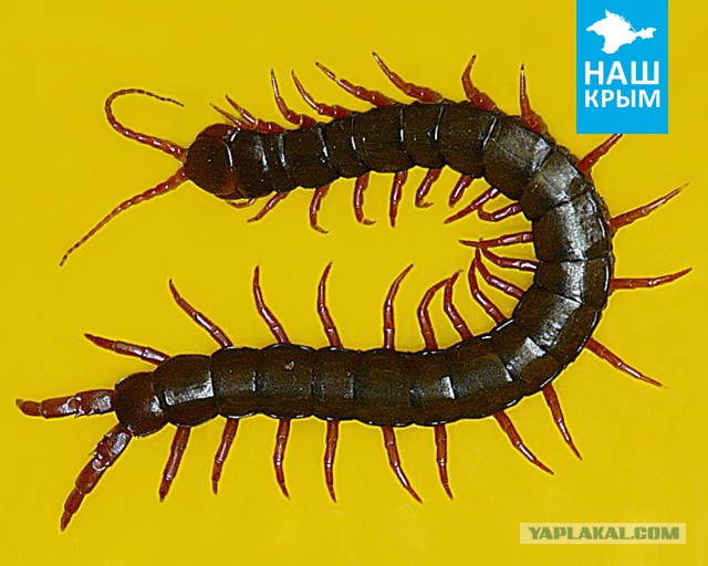 Картинки в честь пятницы