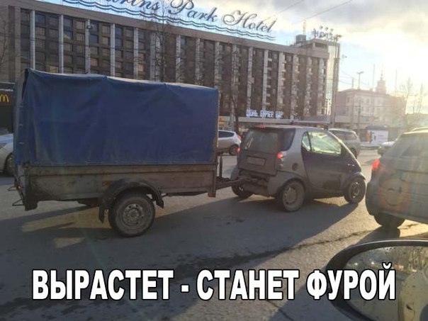 49 забавных картинок