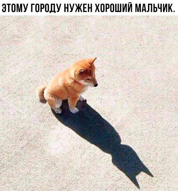 Приколы в стиле "регресс"