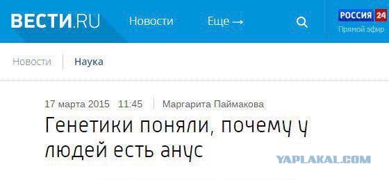 Смешные комментарии из социальных сетей 01.12.2017