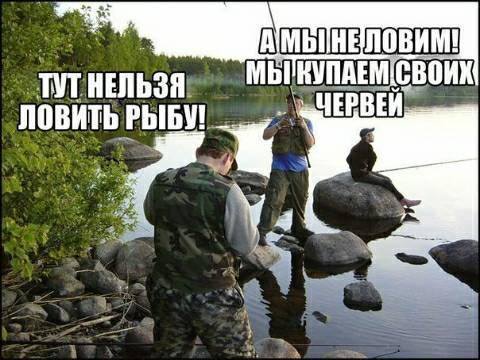 Подборка интересных и веселых картинок