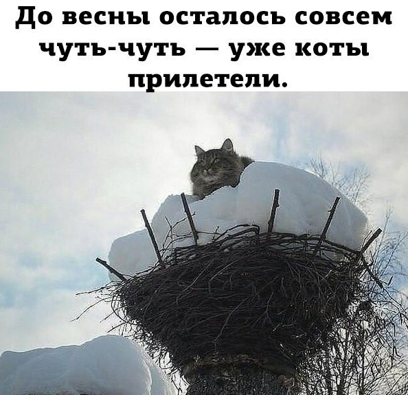 Улыбайтесь. Ну улыбайтесь же!