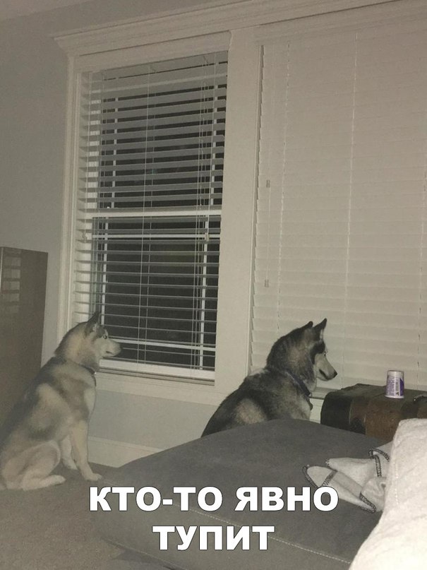 Нестандартный юмор