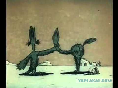 Повезло с попутчицами