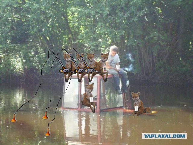 Трактор и грустный тракторист