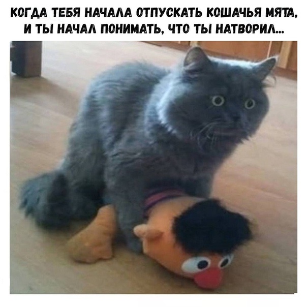 Эрдоган угрожает России
