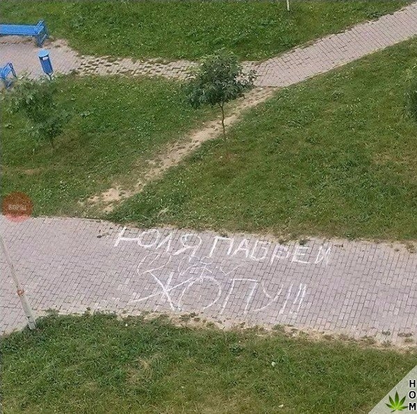 Подборка прикольных фоток