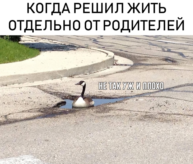 Нестандартный юмор